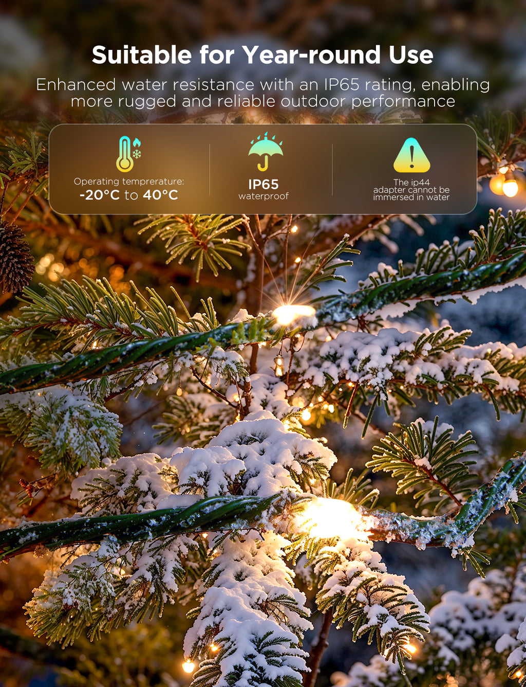 Outdoor year-round string lights wrapped on snow-covered tree branches
