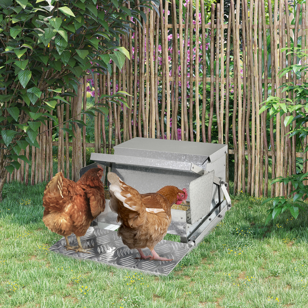 Automatic galvanized metal chicken feeder with lid over the feeding tray