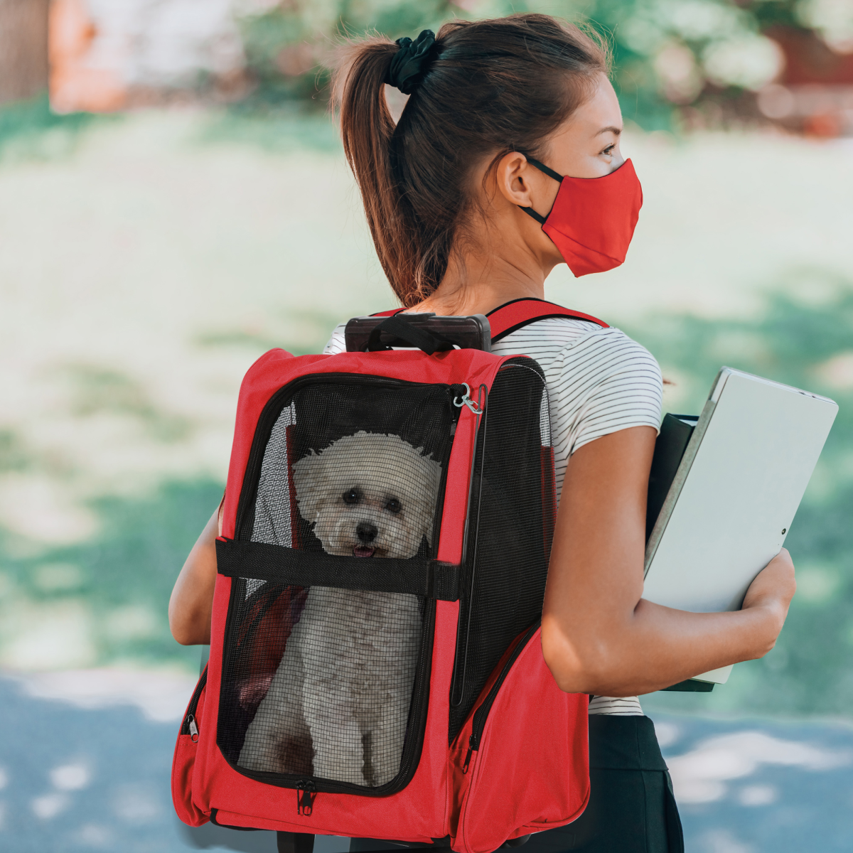 Red pet carrier backpack with front mesh window and pet inside, padded straps