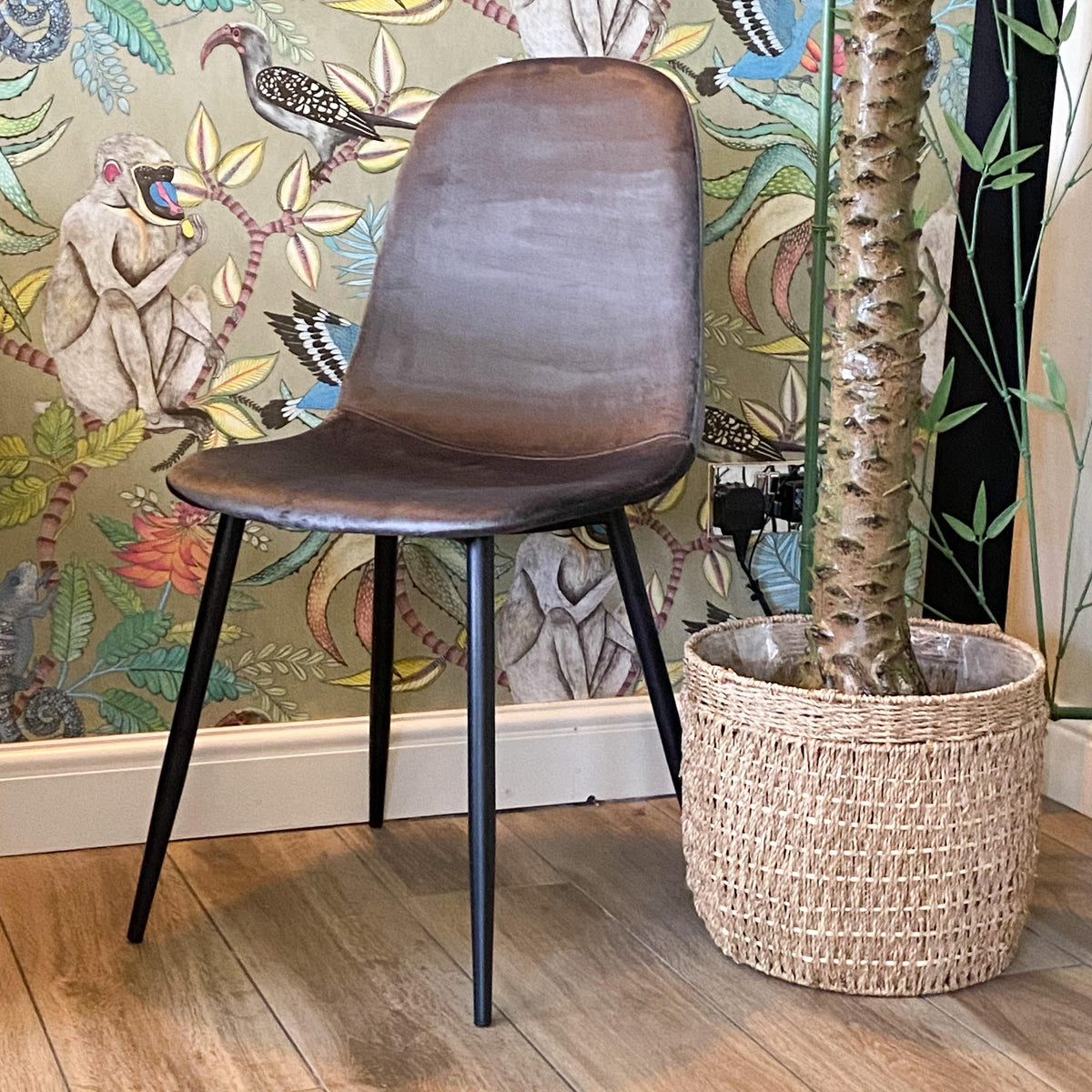 Grey velvet accent chair with black metal legs, rounded back and curved seat